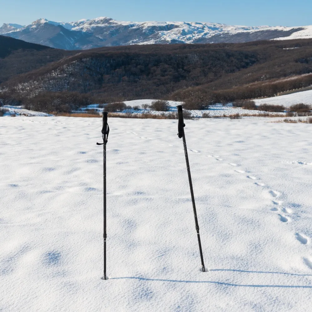 bota adulto (esquí / snow) (copia)